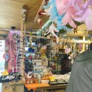 소라고래집 | 묵호 소품샵 방문 솔직 비교 ( 등대 그집 , 바다바란 , 고래 )