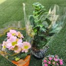 로즈프린팅 | 홈가드닝 추천!식집사 취향저격 Gardeners 유럽풍 여성용 영국 로즈 프린팅 가드닝 면장갑 사용후기
