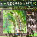 영동프라자약국