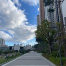 광안쌍용부동산중개 | 드파인광안 광안자이부동산: 제대로 알고 선택하세요