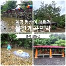 돌배나무집민박 | [충북 영동]맑은 계곡 옆 평상 대여 가능한 '물한계곡 민박' 내돈내산 후기