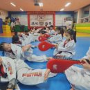 세심태권도 이미지