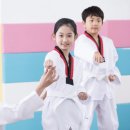 한국체대 MTA 태권도 이미지