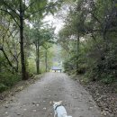 서울애견 | 서울 근교 애견동반 트레킹 가평 명지산 후기