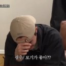 콩콩 이미지