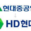 비젼(229) 이미지