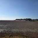 경기둘레길 안산50코스 | 서해랑길 90코스, 경기둘레길 안산 50코스