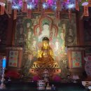 1633 | 보물 제 1633호 구미 대둔사 건칠아미타여래좌상