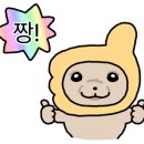 돼집 이미지