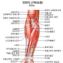 바디 스윙에서 손목의 움직임과 역할 이미지