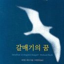 갈매기의 꿈(원제 Jonathan livingston seagull) 이미지