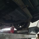 타이어스토리 진접점 | 남양주타이어 진접타이어스토리 바이깜 휠얼라이먼트 후기