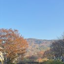 이마트24 용인외대입구점 | 용인 단풍 명소 용인외대 명수당 시간 주차 꿀팁