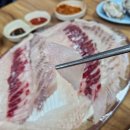 갯바위회수산