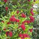 자은중학교 이미지