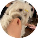 펀앤죠이 | 덕배 육아 일기