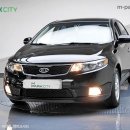 에코포르테 이미지