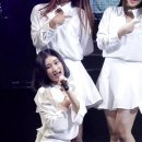 베리어스(various) 이미지