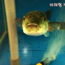 전주복집 이미지