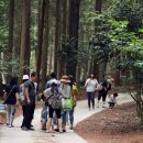 수림약품 이미지