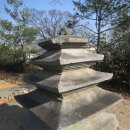 함성중학교 이미지