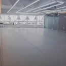 발레스탠스 이미지