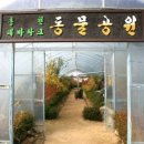 홍천테마파크 이미지
