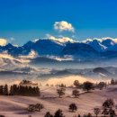산동상사