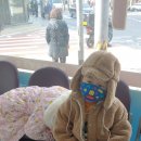 독도는우리땅 약국 이미지