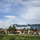 산청한방펜션 이미지