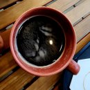 큰나무 | [인천 주안] 카페 더 큰나무 주안 후기(외부 캠핑장 자리)