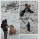 설매공원 네이버블로그