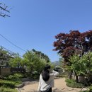 2025년 5월일상 (2) 부암동데이트 맘스키친 무계원 산모퉁이카페 어버이날