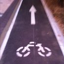 왕숙천 자전거도로11 이미지