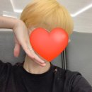 짧은머리 버진모+톤다운 염색모 셀프탈색 2회 성공 후기 (feat. 슈바츠코프 파이버 플렉스)