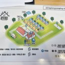 하귀 수영장 | 애견 울타리 있는 깨끗한 캠핑장 애견전용 캠핑장 일랑일랑 제주 (10번 사이트 내돈내산 후기 왕추천)
