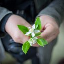 하늘빛농원 이미지