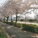 초지공원(상) 이미지