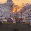 발안천 산책로 이미지