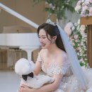 디어니스 | [Wedding 13] ✨ 100% 내돈내산 ✨💍 본식 서브스냅 후기 - 디어니스 완전 강추! 🤍