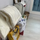 맘마존 꾸미기 내돈내산 폴레드 픽셀 슬림업 젖병소독기 구매후기