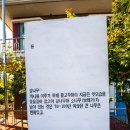 동갈보대 이미지