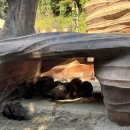 월드밸리 이미지