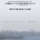엘리펀트 픽쳐스