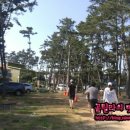 몽산포파인 이미지