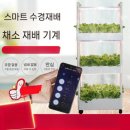 경재농장 | 채소재배기로 시작하는 신선한 홈가드닝 라이프