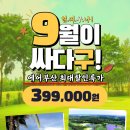 싸다구! 399,000원[항공 포함][4박6일][긴급 모객][조기 예약 마감] 이미지