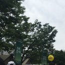 마인드 | 2026 마인드 마라톤 완주 후기🏃🏻‍♀️‍➡️