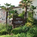 베네커피