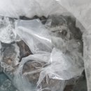 농라에프)대대박수산 참소라 2kg 후기